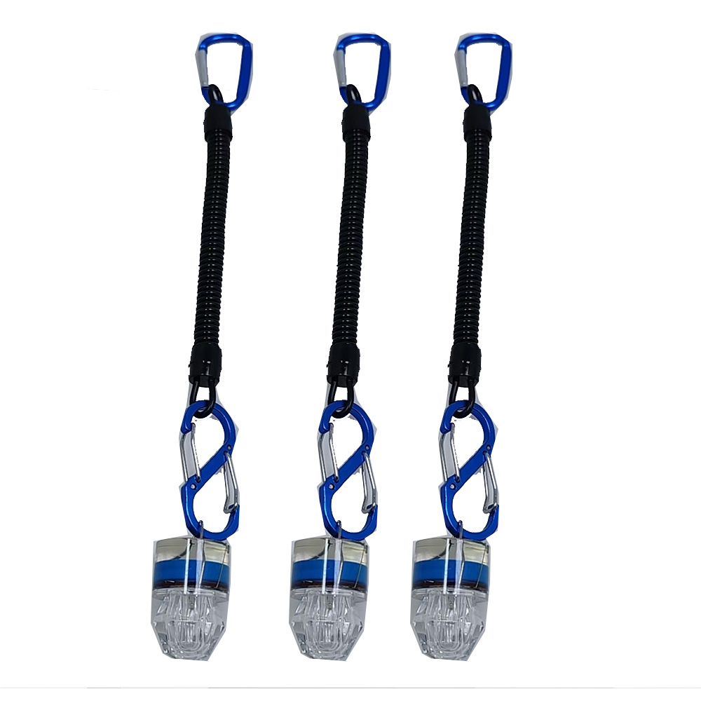 2-3PCS LED Fishing Lights With - Fish Alarm recension och pris