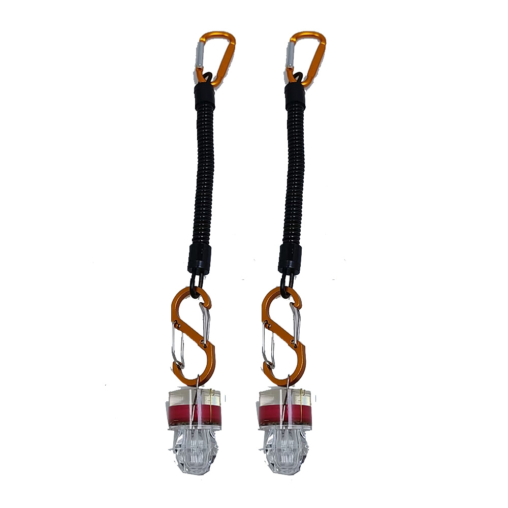 2-3PCS LED Fishing Lights With - Fish Alarm recension och pris